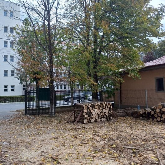 Ocolul Silvic Harsova, oferă spre vânzare lemn de foc esență tare (fag, stejar), perfect pentru sobe , centrale.