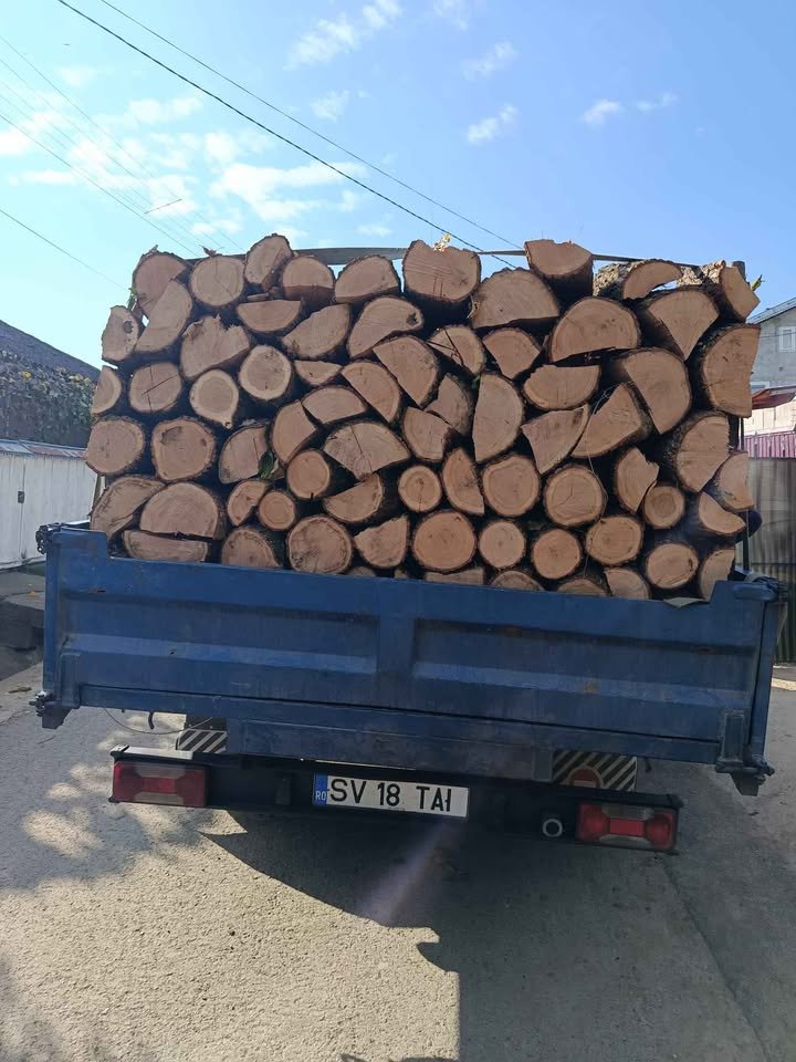 Aducem lemne de foc esență tare fag stejar frasin tăiată la dimensiunea dorita clientului detalii la tel 0754288503