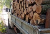 Vând lemn foc esență tare stejar, livrare acasă pe raza județului Mehedinți, telefon 0756674225