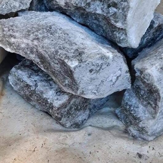 Sare pentru Vanat Pret 1,2 lei/kg