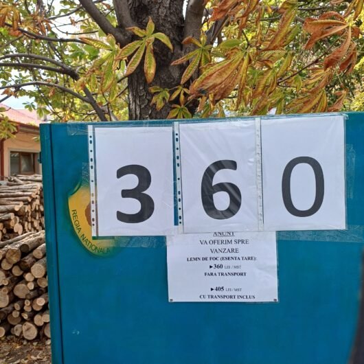 Ocolul Silvic Harsova, oferă spre vânzare lemn de foc esență tare (fag, stejar), perfect pentru sobe , centrale.