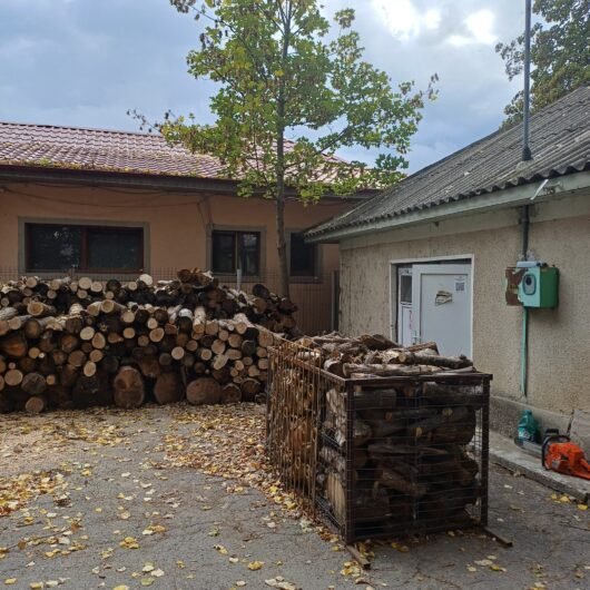 Ocolul Silvic Harsova, oferă spre vânzare lemn de foc esență tare (fag, stejar), perfect pentru sobe , centrale.