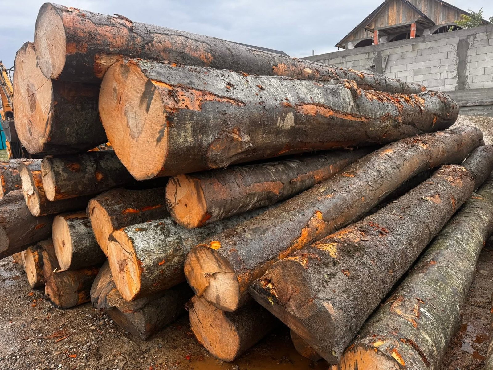 Lemn de foc -Buzau 💣0769781773 💣