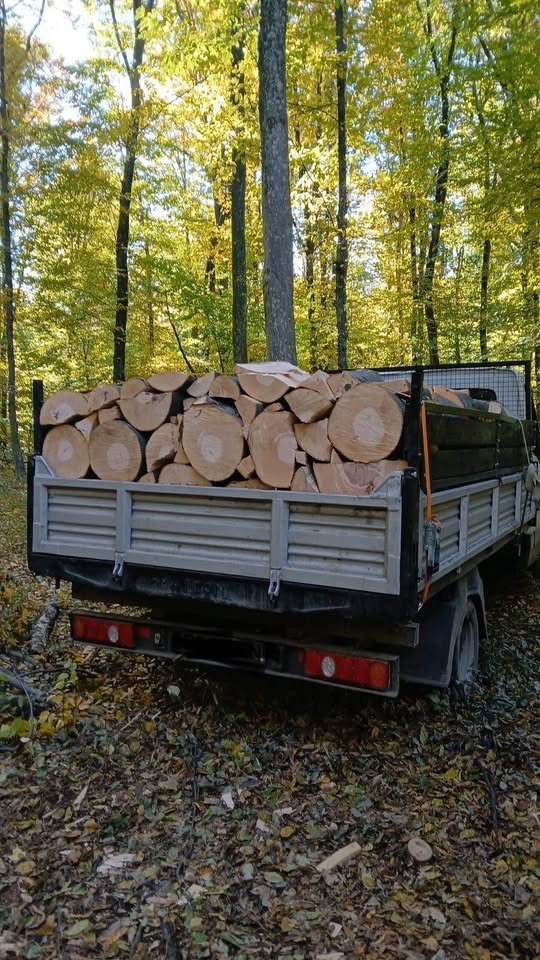 Lemn de foc esența tare(fag si carpen),tăiat la dimensiunea dorita. Livram in tot județul NEAMT 0728789061