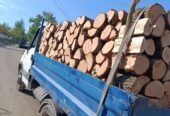 Aducem lemne de foc esență tare fag stejar frasin tăiată la dimensiunea dorita clientului detalii la tel 0754288503