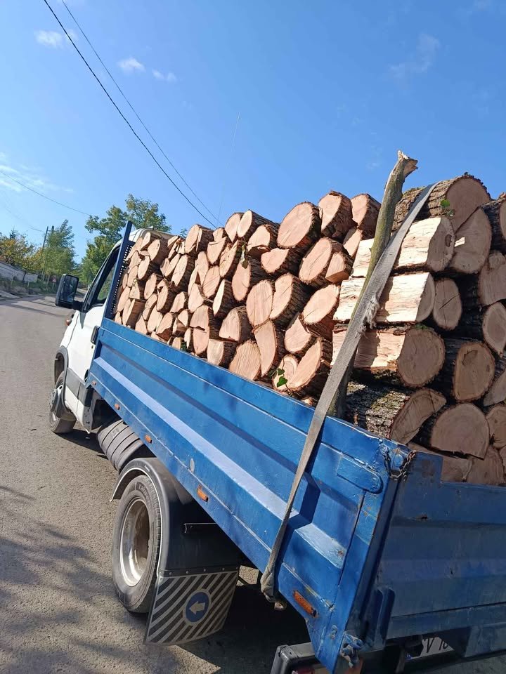 Aducem lemne de foc esență tare fag stejar frasin tăiată la dimensiunea dorita clientului detalii la tel 0754288503