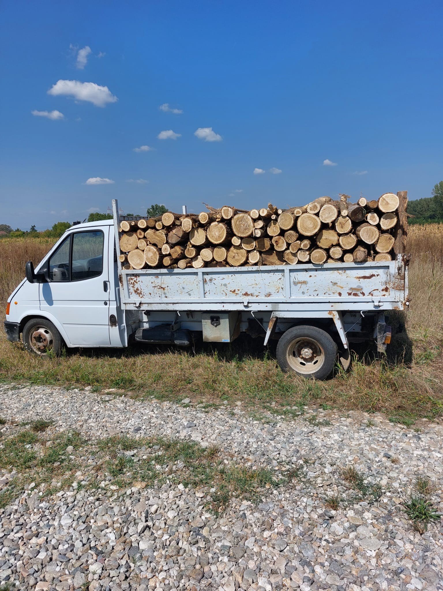 lemn de foc diverse foioase tari din speciile Fag , Carpen , Stejar , Salcam etc. la pretul de 550 lei / M³ 0752286211