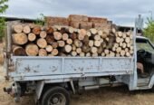 lemn de foc diverse foioase tari din speciile Fag , Carpen , Stejar , Salcam etc. la pretul de 550 lei / M³ 0752286211