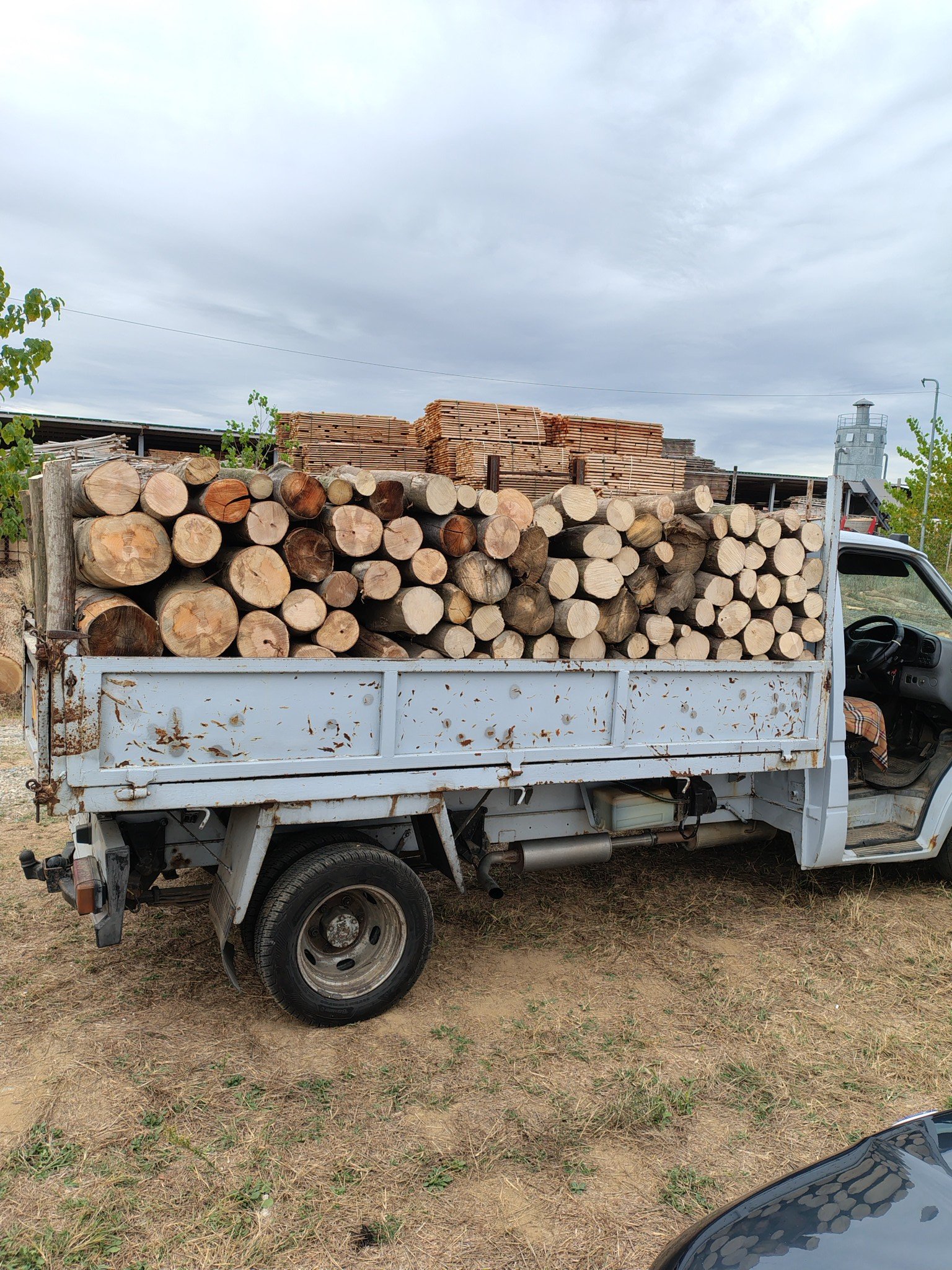 lemn de foc diverse foioase tari din speciile Fag , Carpen , Stejar , Salcam etc. la pretul de 550 lei / M³ 0752286211