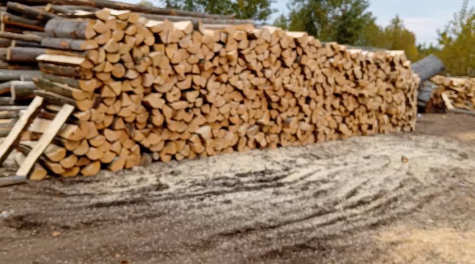 Vând lemn de foc fag, 0754922434