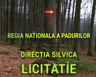 image-generation_XUGYDa8lo2cYlUfXwQeBvQ4PEa82_1761855113511_result