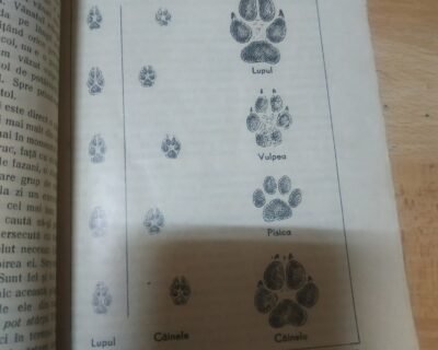 587857984_1368466324632937_2854706110176635963_n