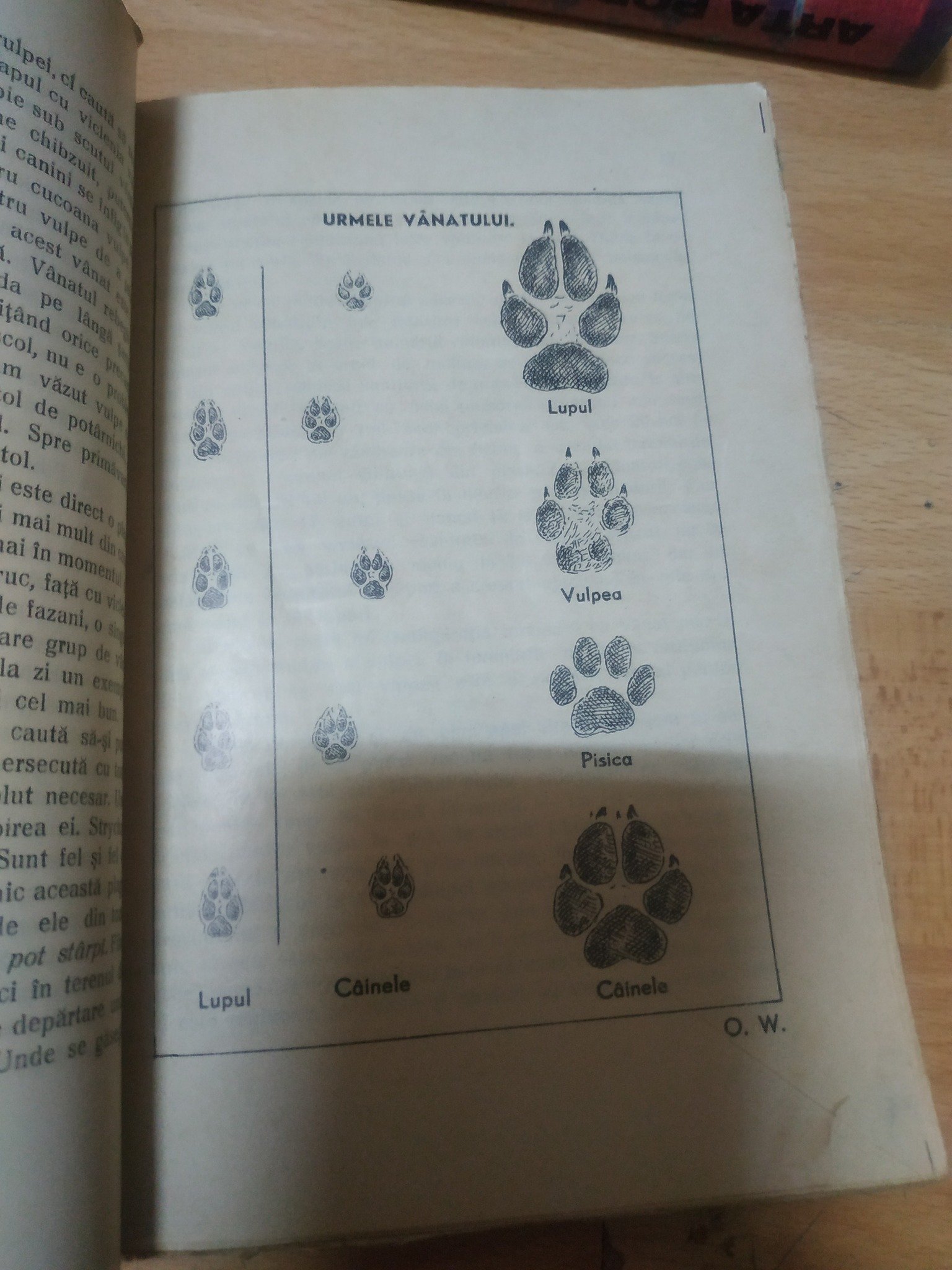 155 lei 📘Calendar vanatoresc, anul intaiu, 1948 📚Editura: Coresi An de aparitie: 1948 Nr. pagini: 176 Format: 14 x 21 cm