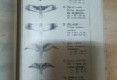 155 lei 📘Calendar vanatoresc, anul intaiu, 1948 📚Editura: Coresi An de aparitie: 1948 Nr. pagini: 176 Format: 14 x 21 cm