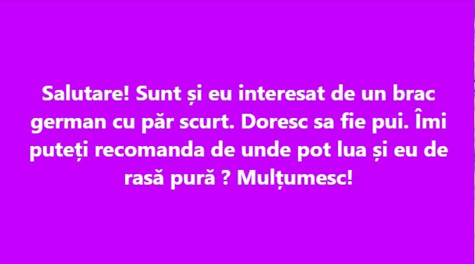 Salutare! Sunt și eu interesat de un brac german cu păr scurt. Doresc sa fie pui. Îmi puteți recomanda de unde pot lua și eu de rasă pură ? Mulțumesc!
