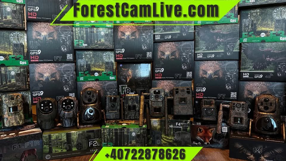 Camere de TOP la cel mai MIC pret din Romania