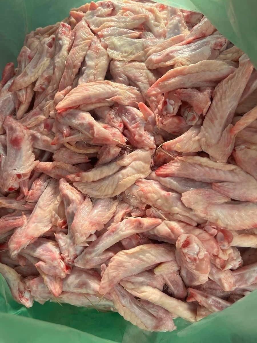 Hrană pentru câini