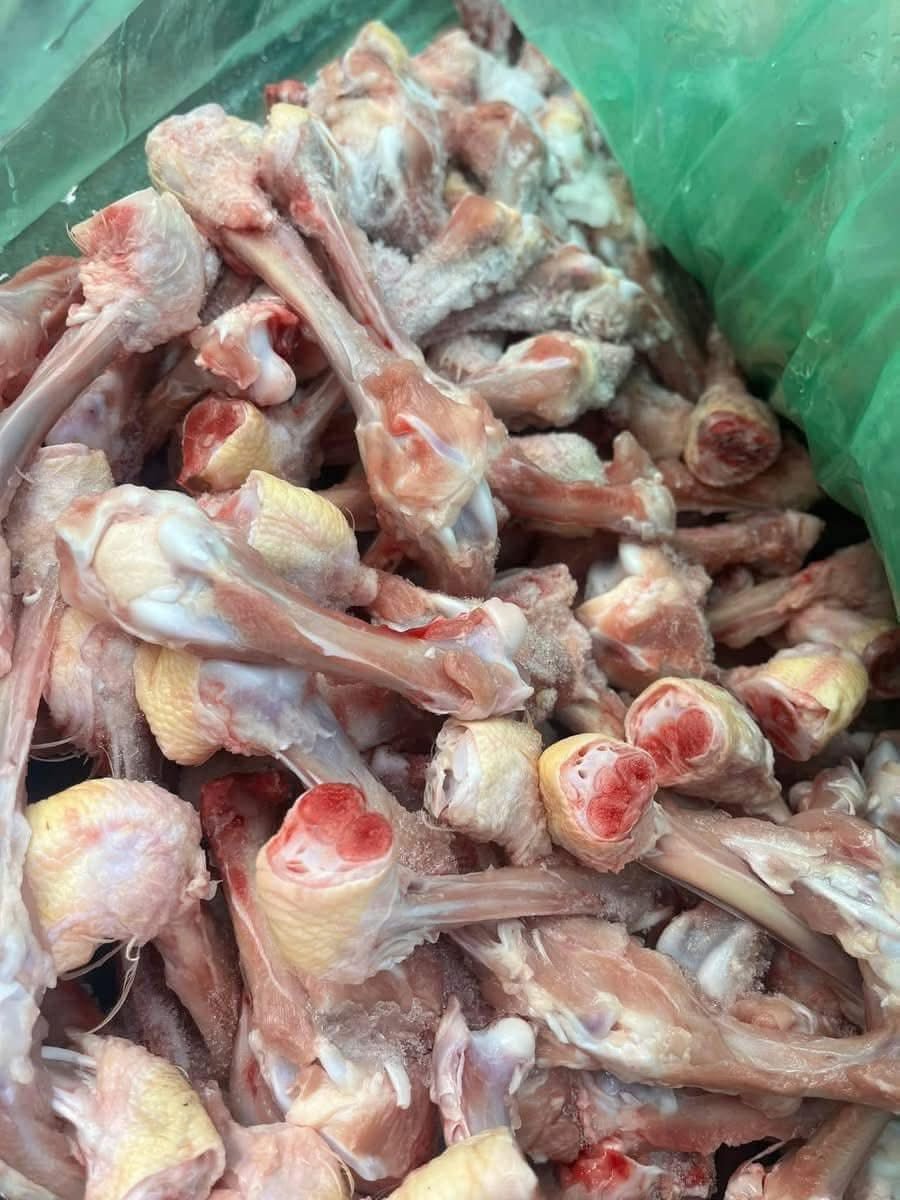 Hrană pentru câini