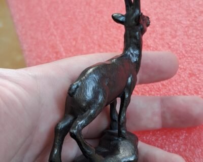 595902735_3708812435915306_1991499367406737122_n