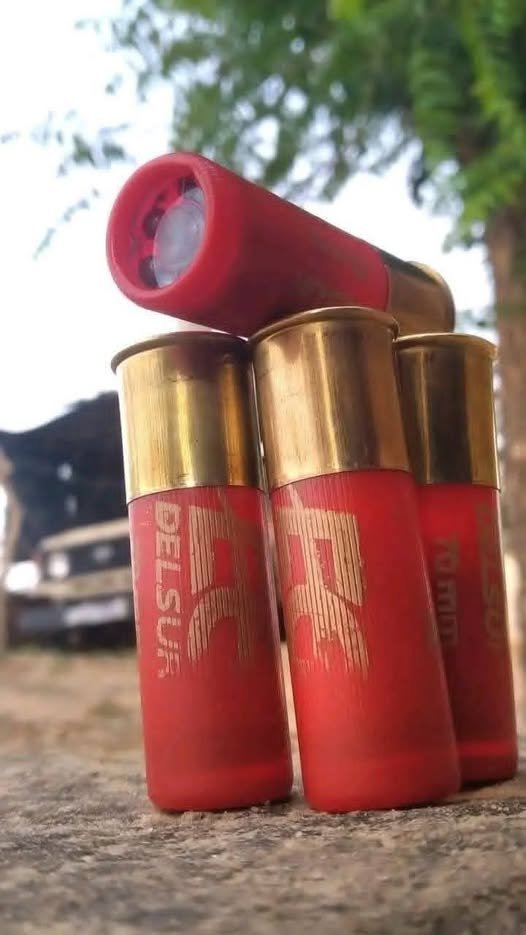 ملوك الصيد البري في الوطن العربي والعالم