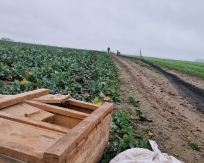 598438708_1505768524443747_1793819276251770266_n