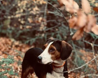 601357301_2082933345794632_1792334110847337459_n