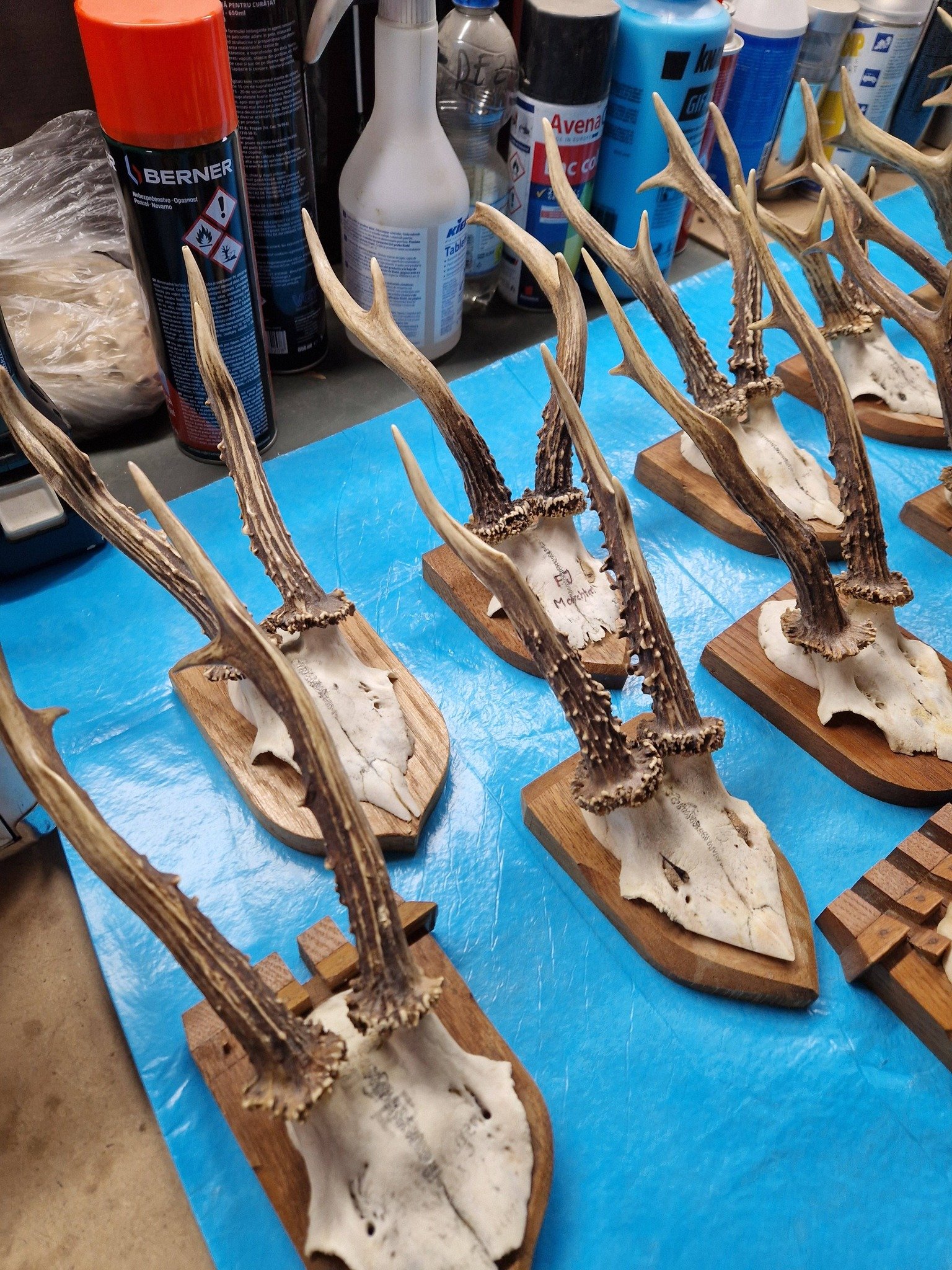 Oferta de Crăciun, 2000 lei.