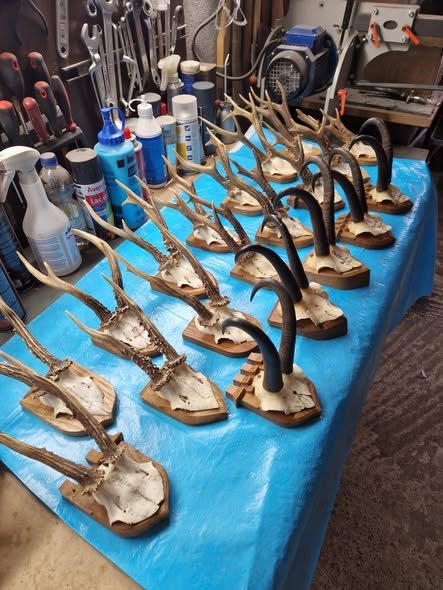 Oferta de Crăciun, 2000 lei.