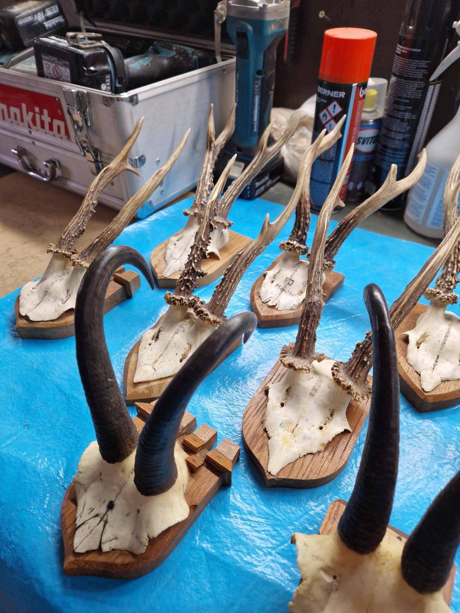 Oferta de Crăciun, 2000 lei.