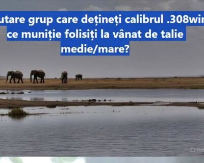 1-CAIUTI-Casa-Rosetti-Laurentiu-Matei-12