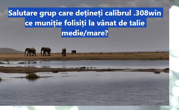 Ce muniție folisiți ?