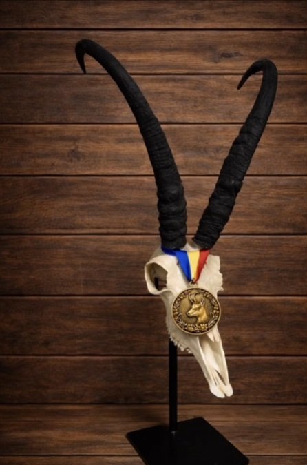 Record mondial de vânătoare – Capra sălbatică