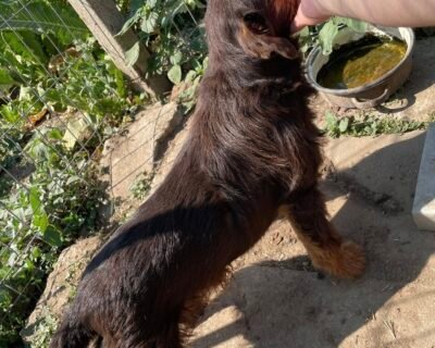 508628989_3930435867267584_6969612687501626167_n