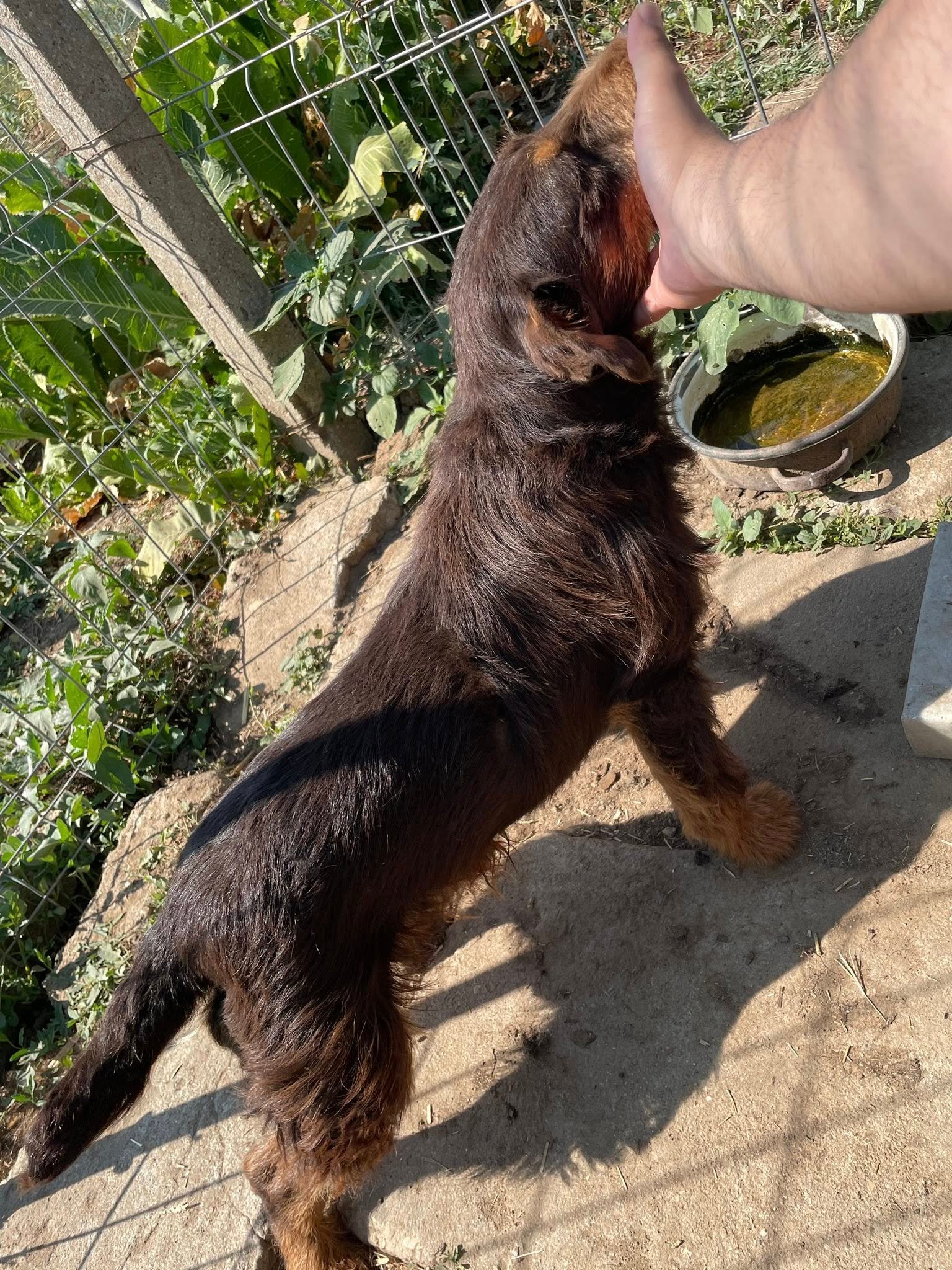 Ceva pentru pretentiosi Mai multe detalii la nr 0766694740