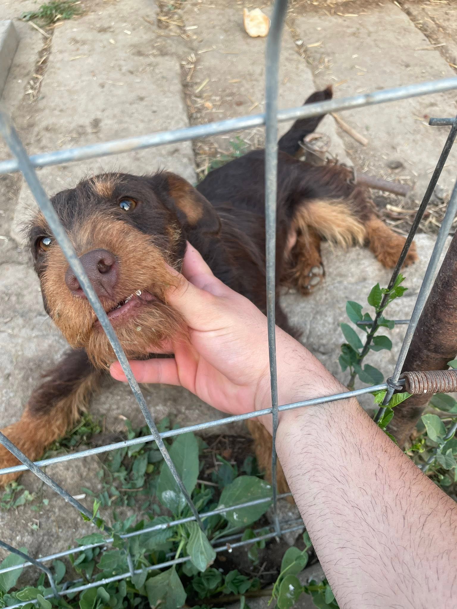 Ceva pentru pretentiosi Mai multe detalii la nr 0766694740