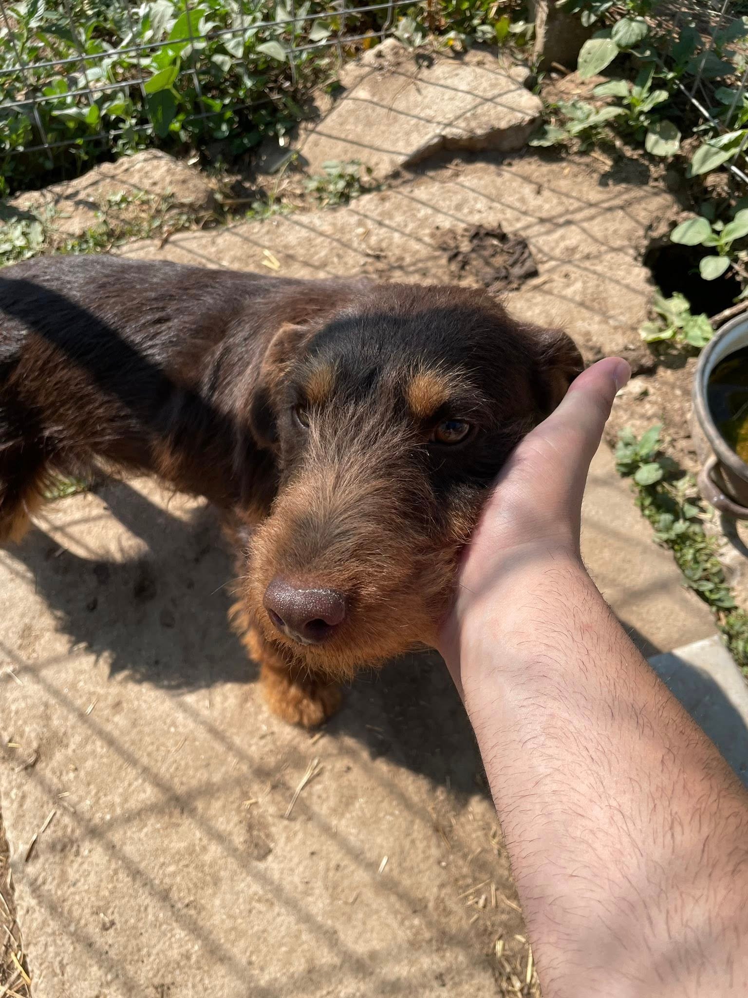 Ceva pentru pretentiosi Mai multe detalii la nr 0766694740