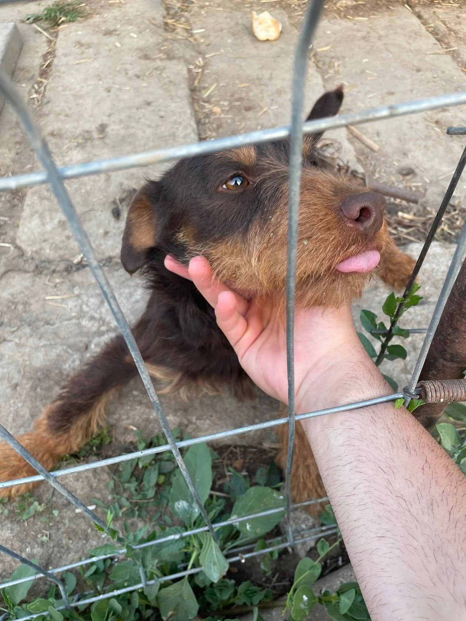 Ceva pentru pretentiosi Mai multe detalii la nr 0766694740