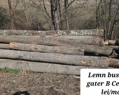 585421266_866180155758418_1565534455554073180_n