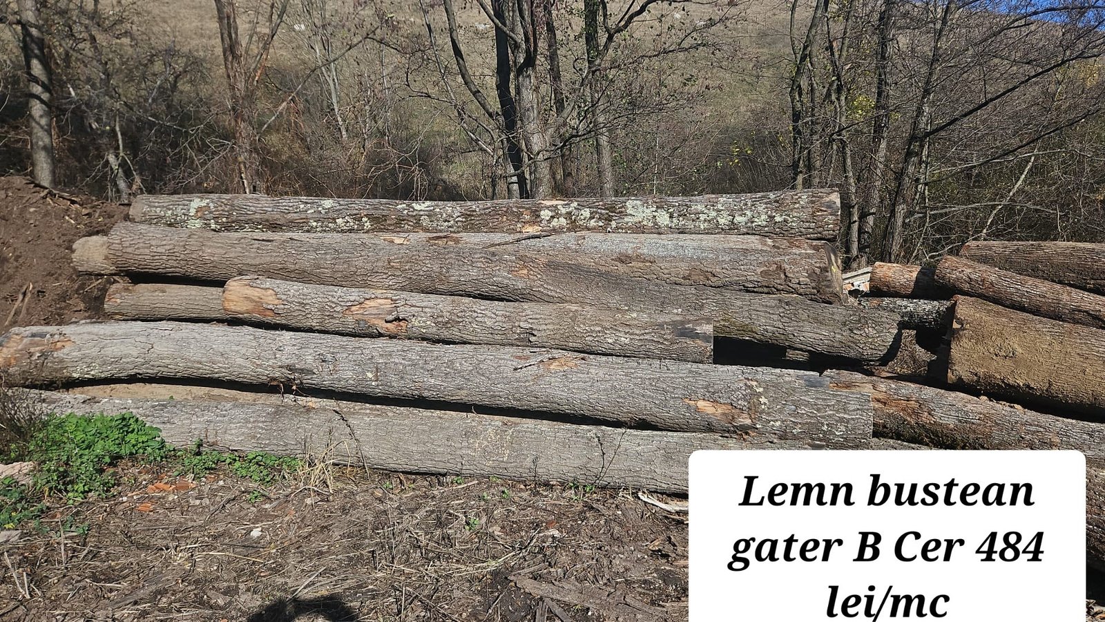 🪵 Ofertă lemn de foc pentru încălzirea locuințelor 🪵