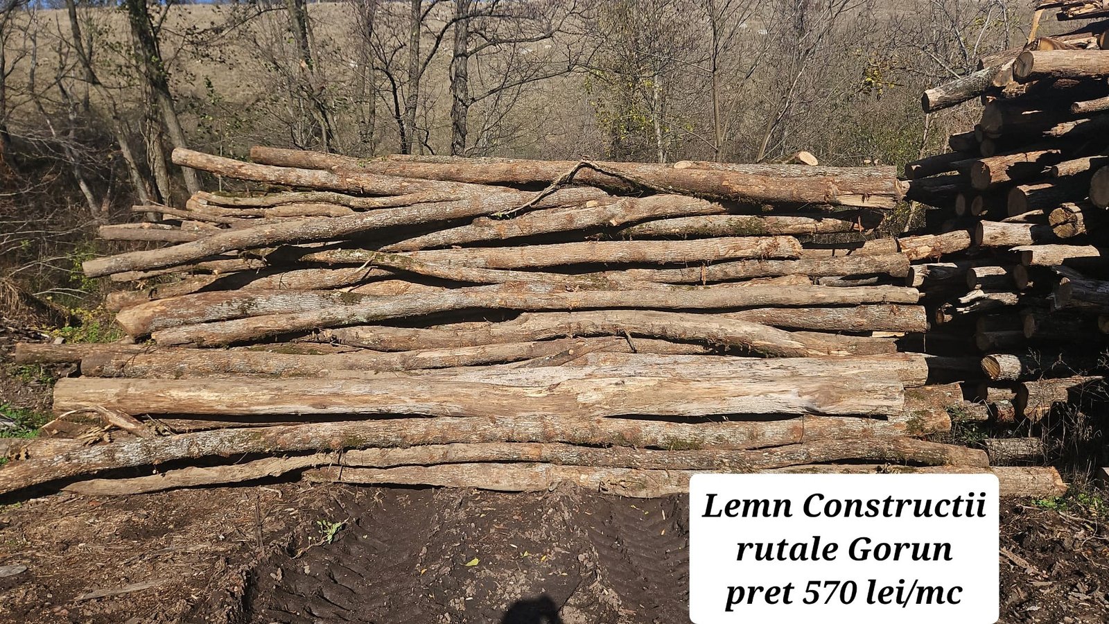 🪵 Ofertă lemn de foc pentru încălzirea locuințelor 🪵