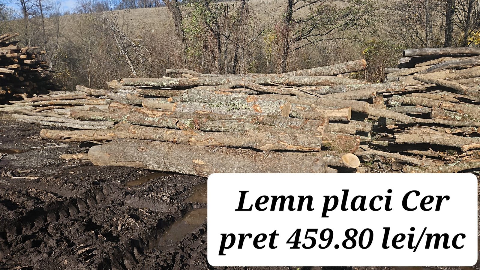 🪵 Ofertă lemn de foc pentru încălzirea locuințelor 🪵