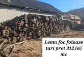 🪵 Ofertă lemn de foc pentru încălzirea locuințelor 🪵