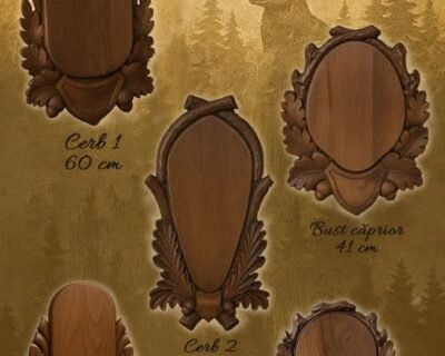 595077966_122187105062453794_7468136426782154103_n