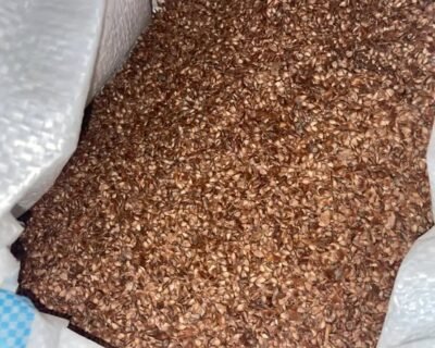 608075920_25535455672731223_8209323894200959789_n