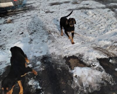 611556577_2046315206219383_7179688812975847760_n