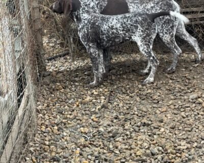 612051761_25435001019485169_4532597801305056027_n-1