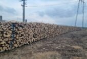 Lemne de foc fag 370ms transport și tva inclus în pret sebes alba tel 0743249536