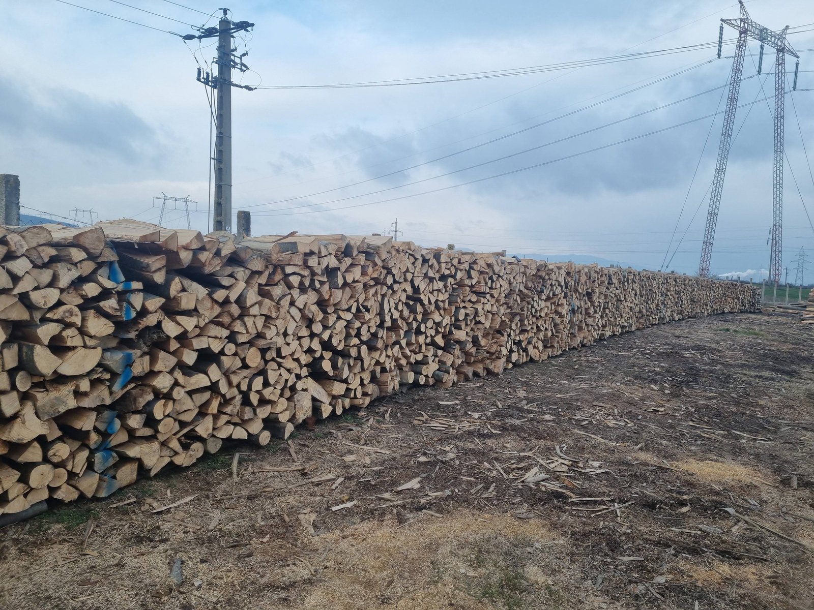 Lemne de foc fag 370ms transport și tva inclus în pret sebes alba tel 0743249536