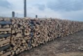 Lemne de foc fag 370ms transport și tva inclus în pret sebes alba tel 0743249536