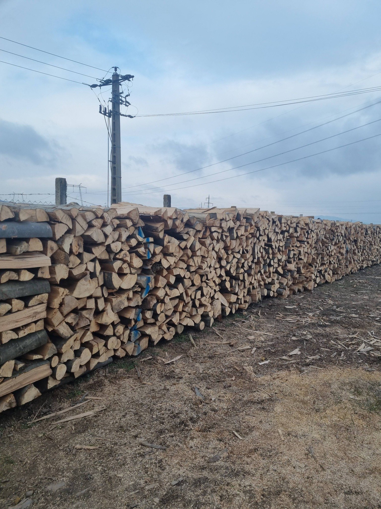 Lemne de foc fag 370ms transport și tva inclus în pret sebes alba tel 0743249536